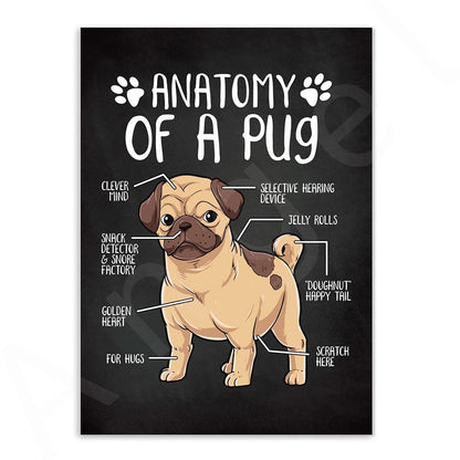 Anatomy of Dogs Canvas Art