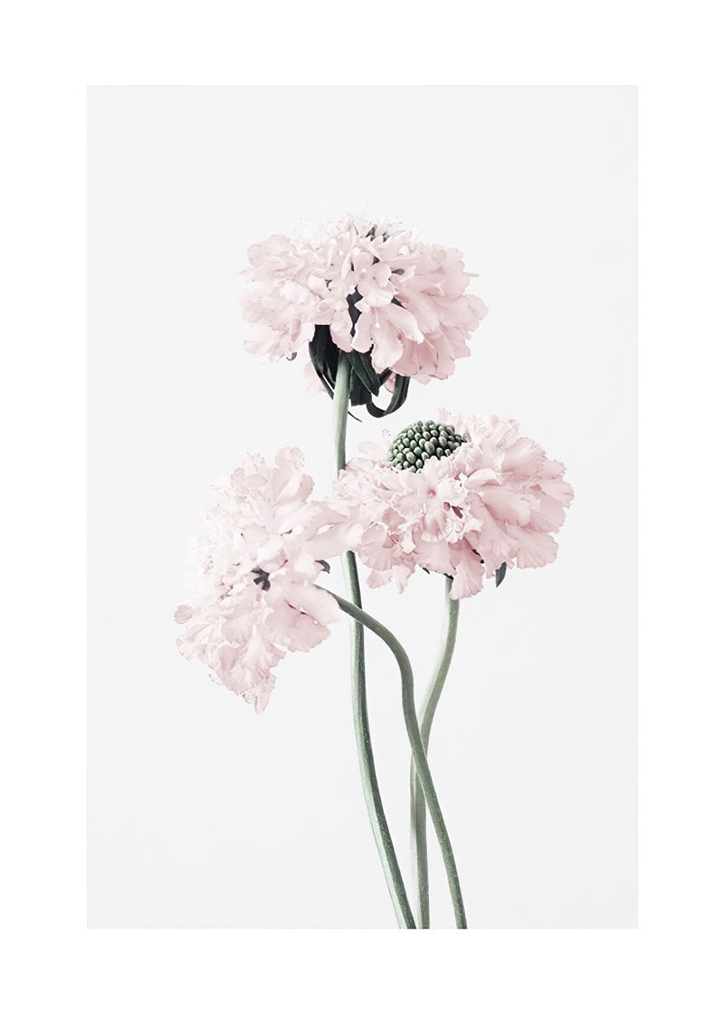 Fresh Pink Flower Canvas Art