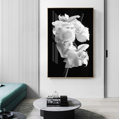 Black And White Tulip Flower Canvas Art