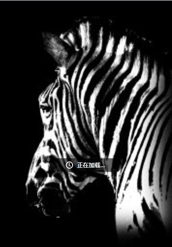 Black and White Zebra Canvas Art