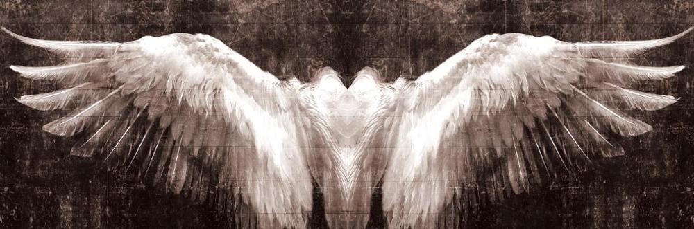 Black And White Angel Wings Wall Art Canvas