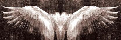 Black And White Angel Wings Wall Art Canvas