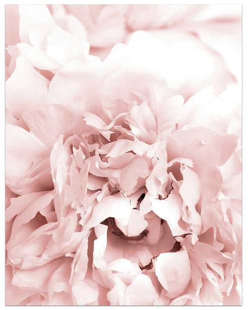 Blooming Pink Flower Canvas Art