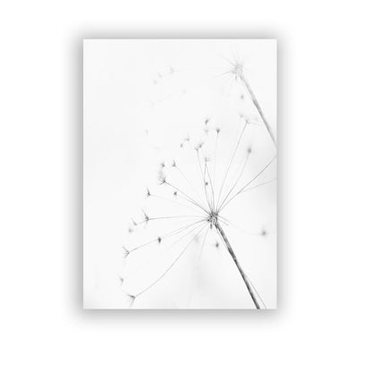 Black And White Dandelion Canvas Art