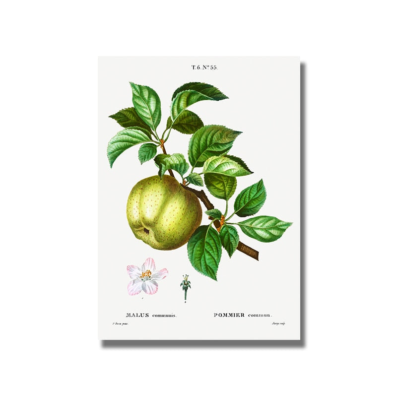 Fruit Pomegranate Cherry Grape Pear Canvas Art