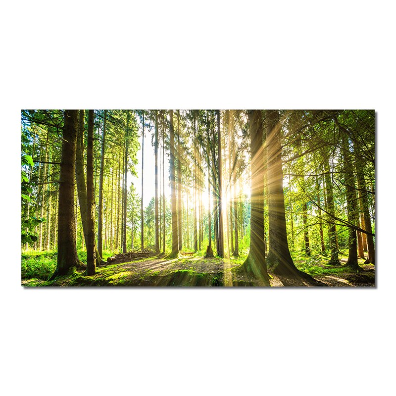 Forest Sunshine Canvas Art