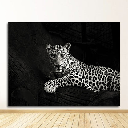 Black and White Animal Wall Art Canvas