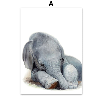 Cute Sleeping Animal Canvas Art