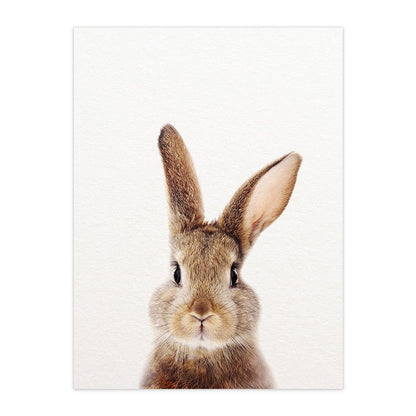 Cute Animal Canvas Art