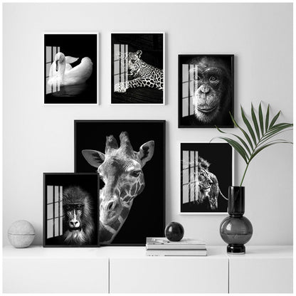 Black and White Animal Wall Art Canvas