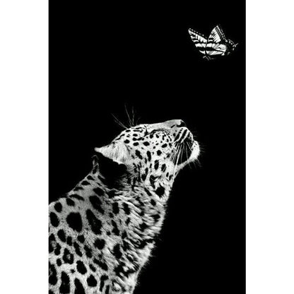 Black and White Tiger Antelope Horse Giraffe Butterfly Canvas Art