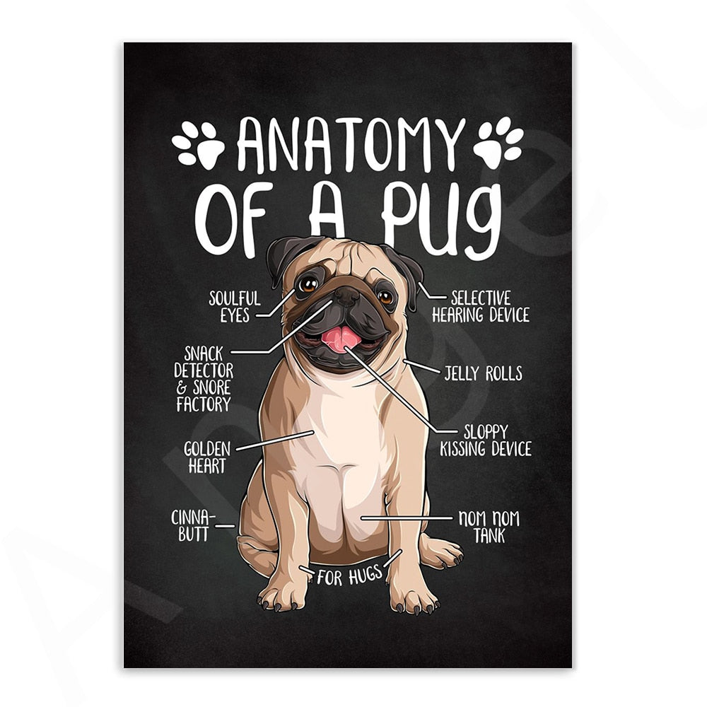 Anatomy of Dogs Canvas Art