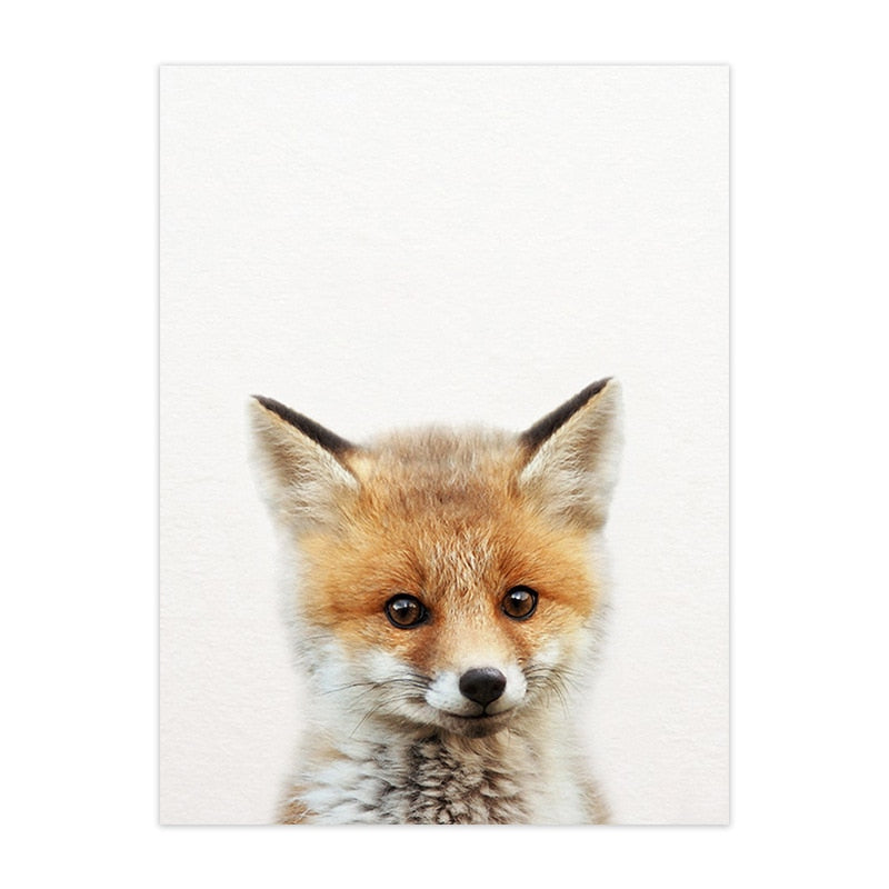 Cute Animal Canvas Art