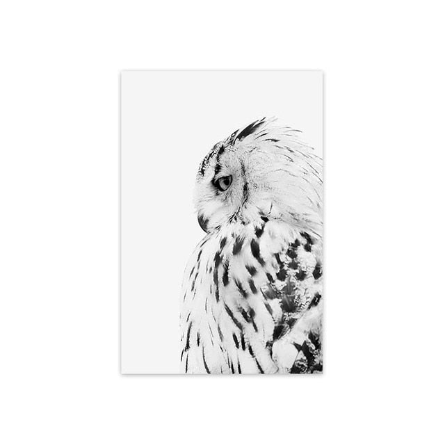 Black and White Owl Canvas Art