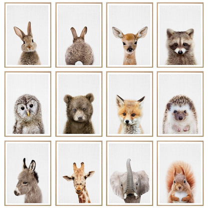 Cute Animals Nursery Canvas Art