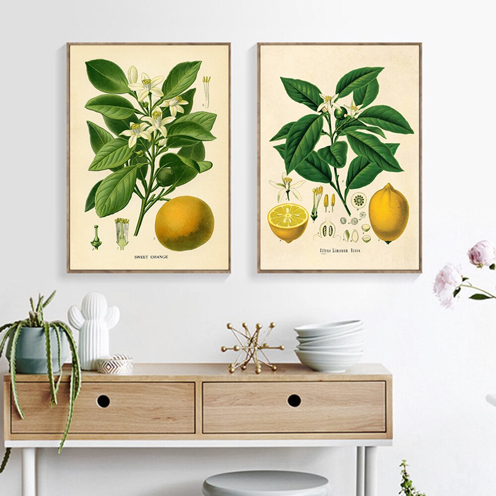 Lemon Vintage Botanical Canvas Art