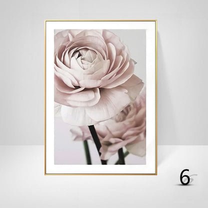 White Pink Peony Canvas Art