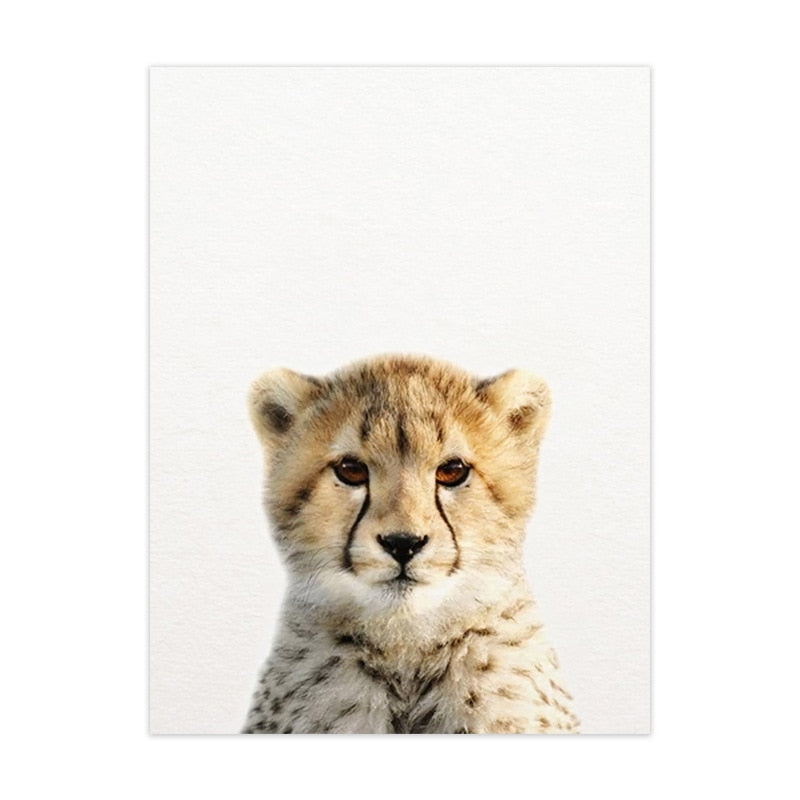 Cute Animal Canvas Art