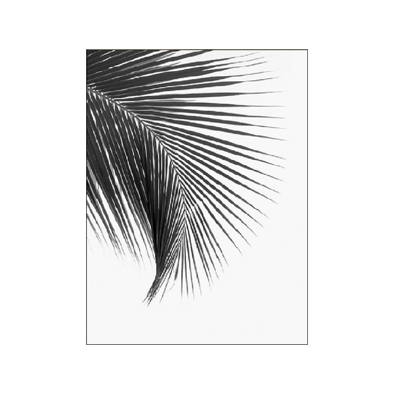 Black And White Palm Tree Canvas