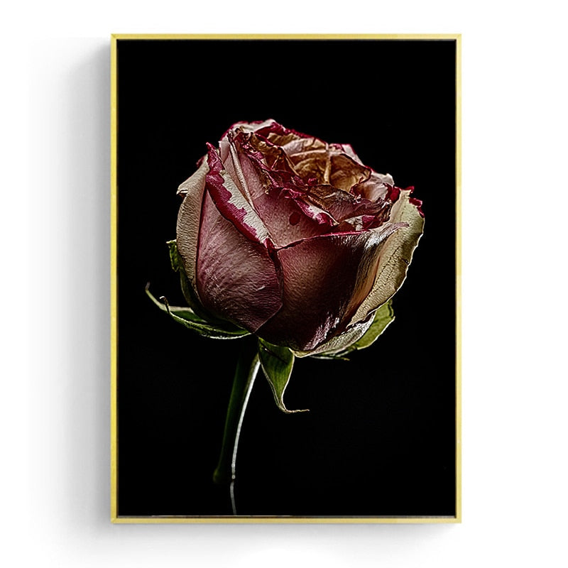 Withered Rose Canvas Art