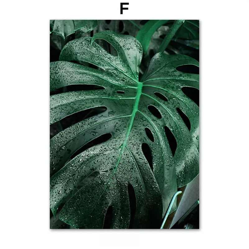 Animal in Tropical Rainforest Canvas Art