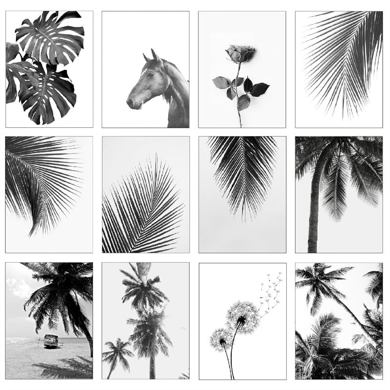 Black And White Palm Tree Canvas