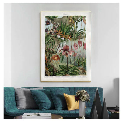 Orchids Late 1800s Botanical Poster Wall Art Canvas