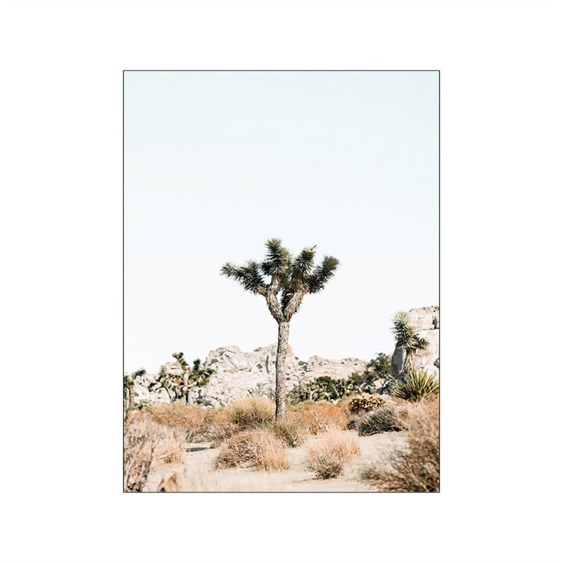 Desert Landscape Cactus Canvas Art