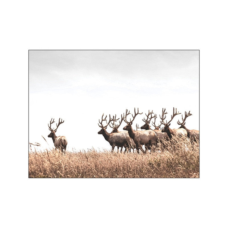 Brown Landscape Dandelion Elk Canvas Art