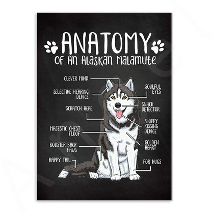 Anatomy of Dogs Canvas Art