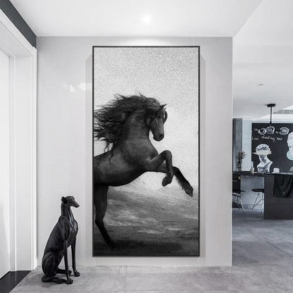 Black and White Horse Canvas Art