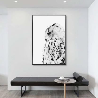 Black and White Owl Canvas Art