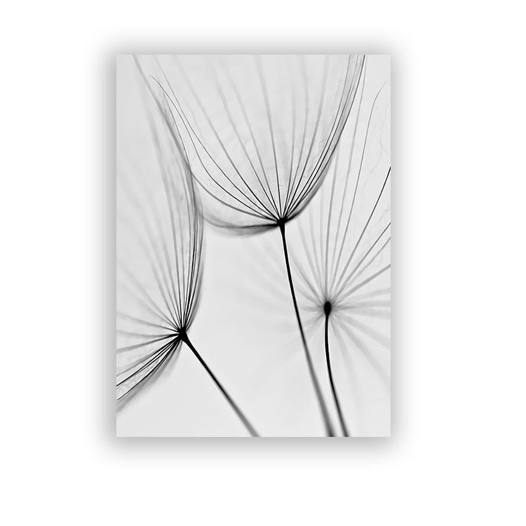 Black And White Dandelion Canvas Art