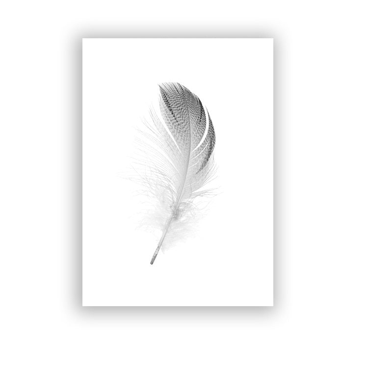 Black And White Dandelion Canvas Art