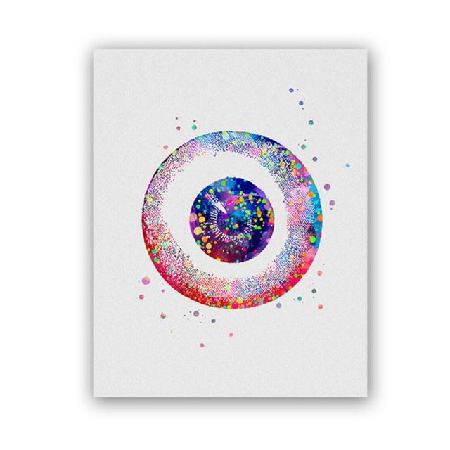 Eye Anatomy Ophthalmology Canvas Art