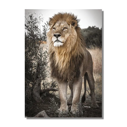 King of the Savanna Lion Canvas Art