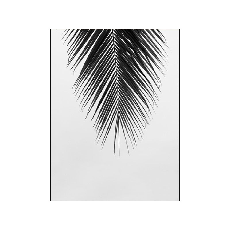 Black And White Palm Tree Canvas