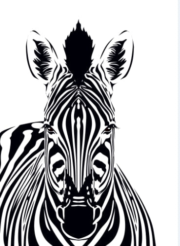 Black and White Zebra Canvas Art