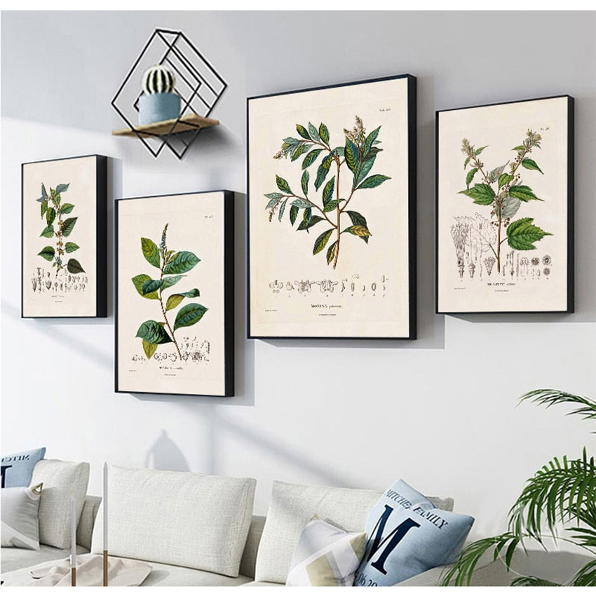 Botanical Studies Wall Art Canvas