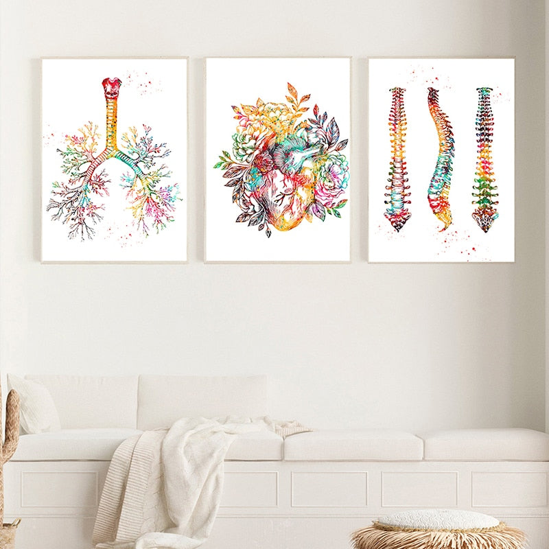 Human Anatomy Muscles System Canvas Art