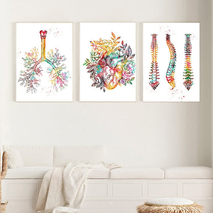 Human Anatomy Muscles System Canvas Art