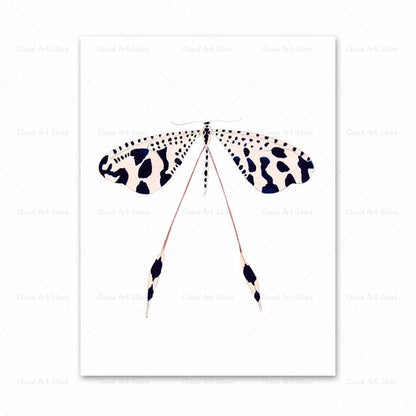 Watercolor Beetle Bug Butterfly Dragonfly Canvas Art