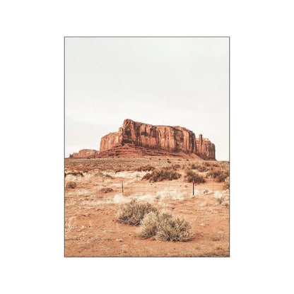 Desert Landscape Cactus Canvas Art