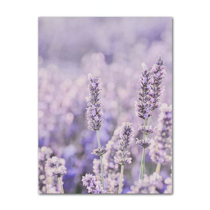 Provence Purple Lavender Canvas Art