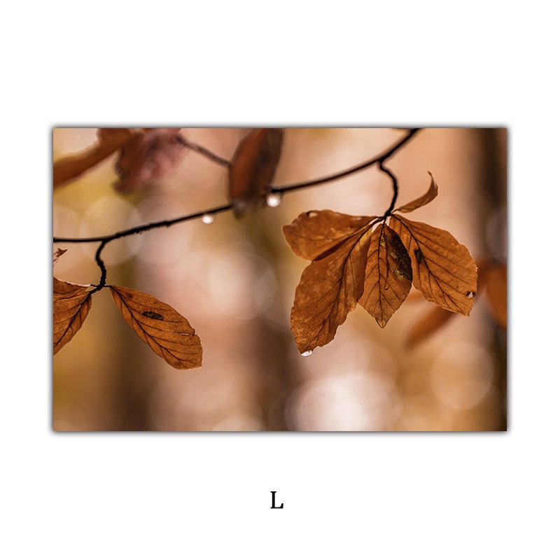 Late Autumn Arch Bridge Forest Hut Leaves Canvas Art