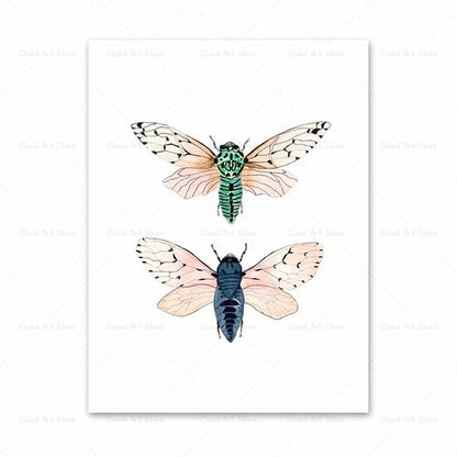 Watercolor Beetle Bug Butterfly Dragonfly Canvas Art