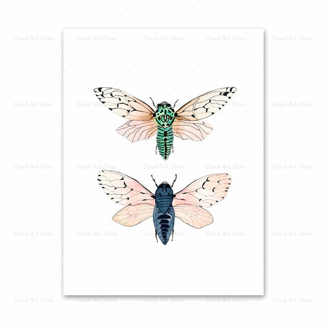 Watercolor Beetle Bug Butterfly Dragonfly Canvas Art