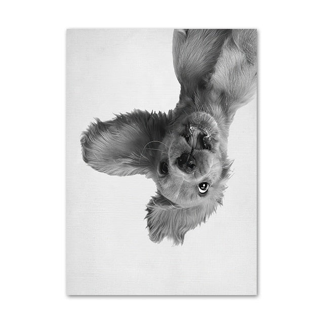 Funny Cute Dog Canvas Art