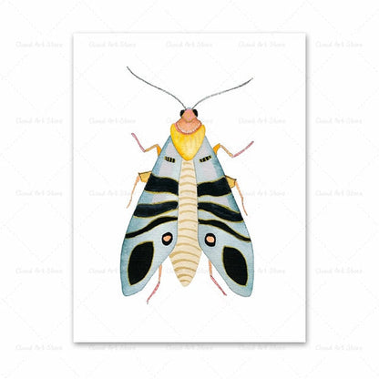 Watercolor Beetle Bug Butterfly Dragonfly Canvas Art