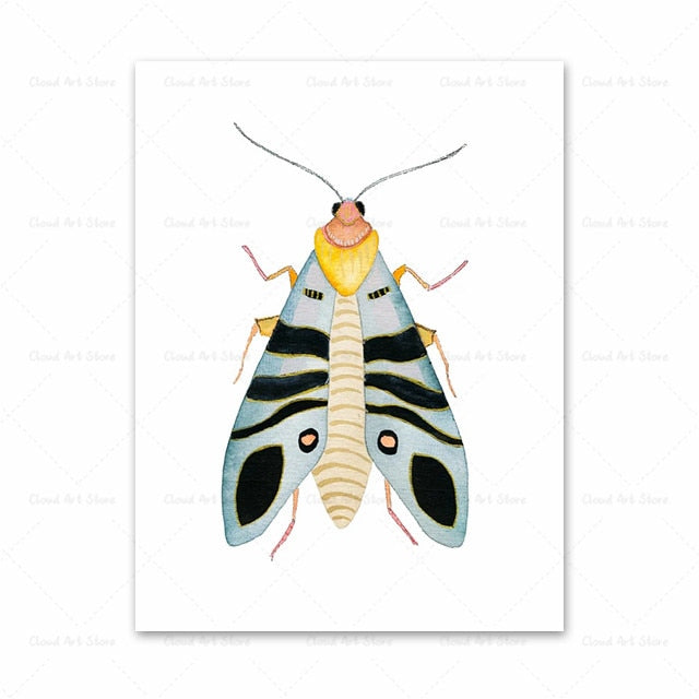 Watercolor Beetle Bug Butterfly Dragonfly Canvas Art